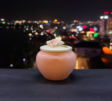 Hũ Sứ Hồng Mai